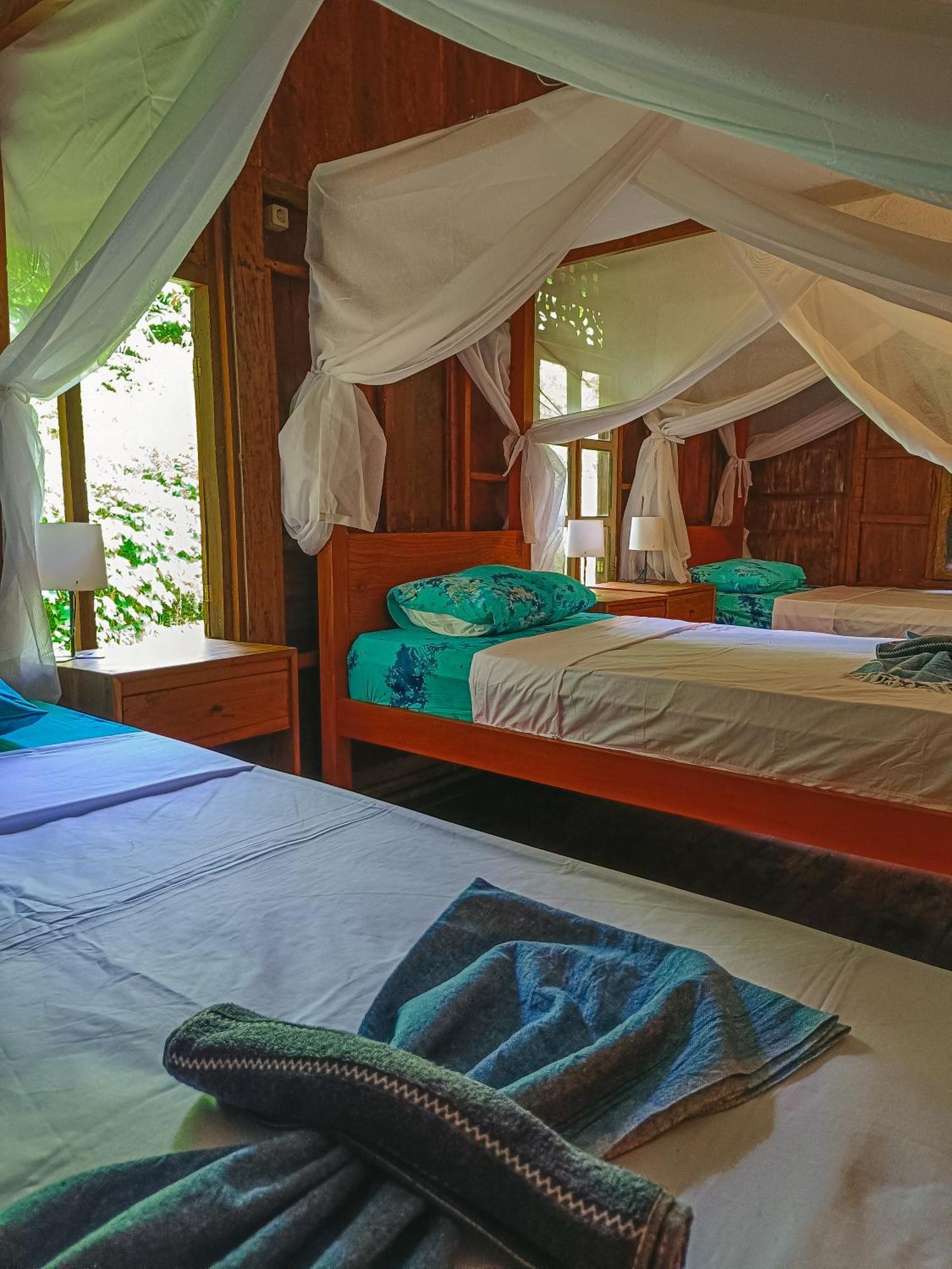 Alaya Ecolodge Pemuteran Eksteriør billede