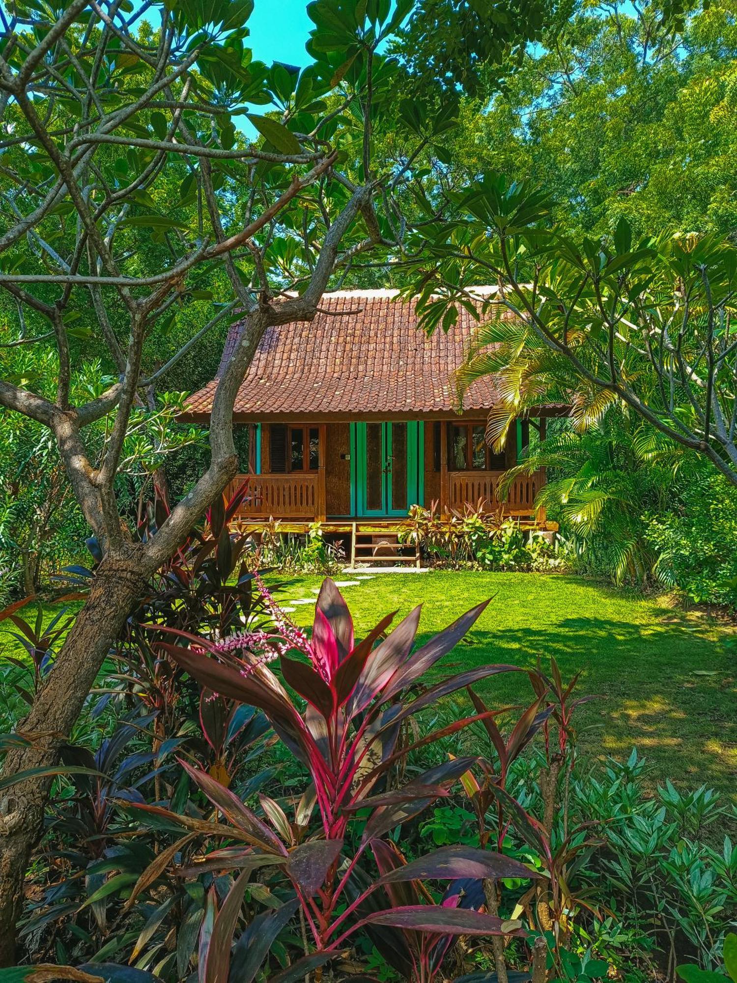 Alaya Ecolodge Pemuteran Eksteriør billede