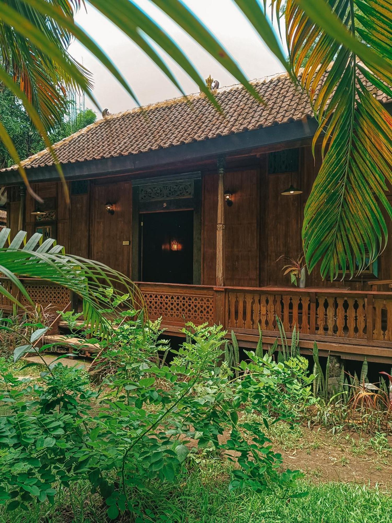 Alaya Ecolodge Pemuteran Eksteriør billede