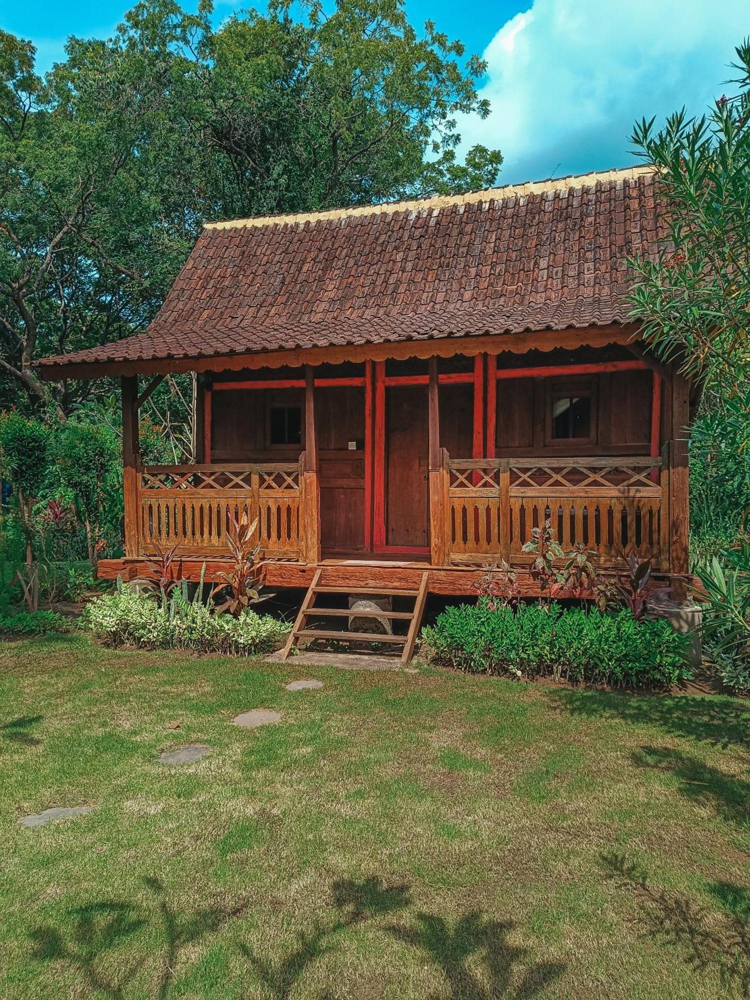 Alaya Ecolodge Pemuteran Eksteriør billede